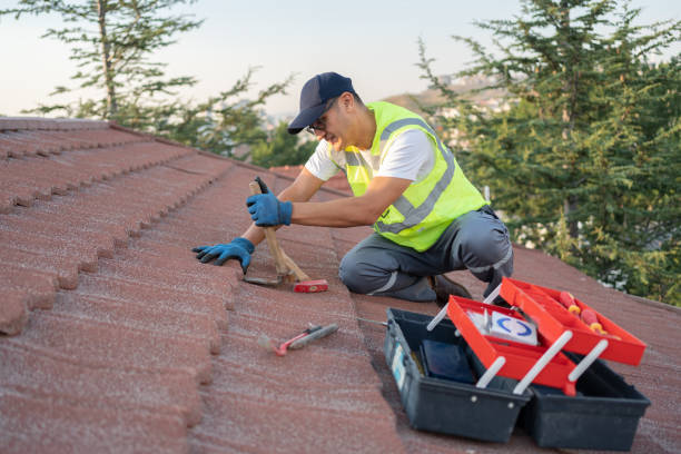Best Roof Gutter Cleaning  in Secy, AR