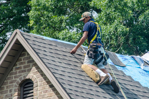 Best Roof Restoration Services  in Secy, AR
